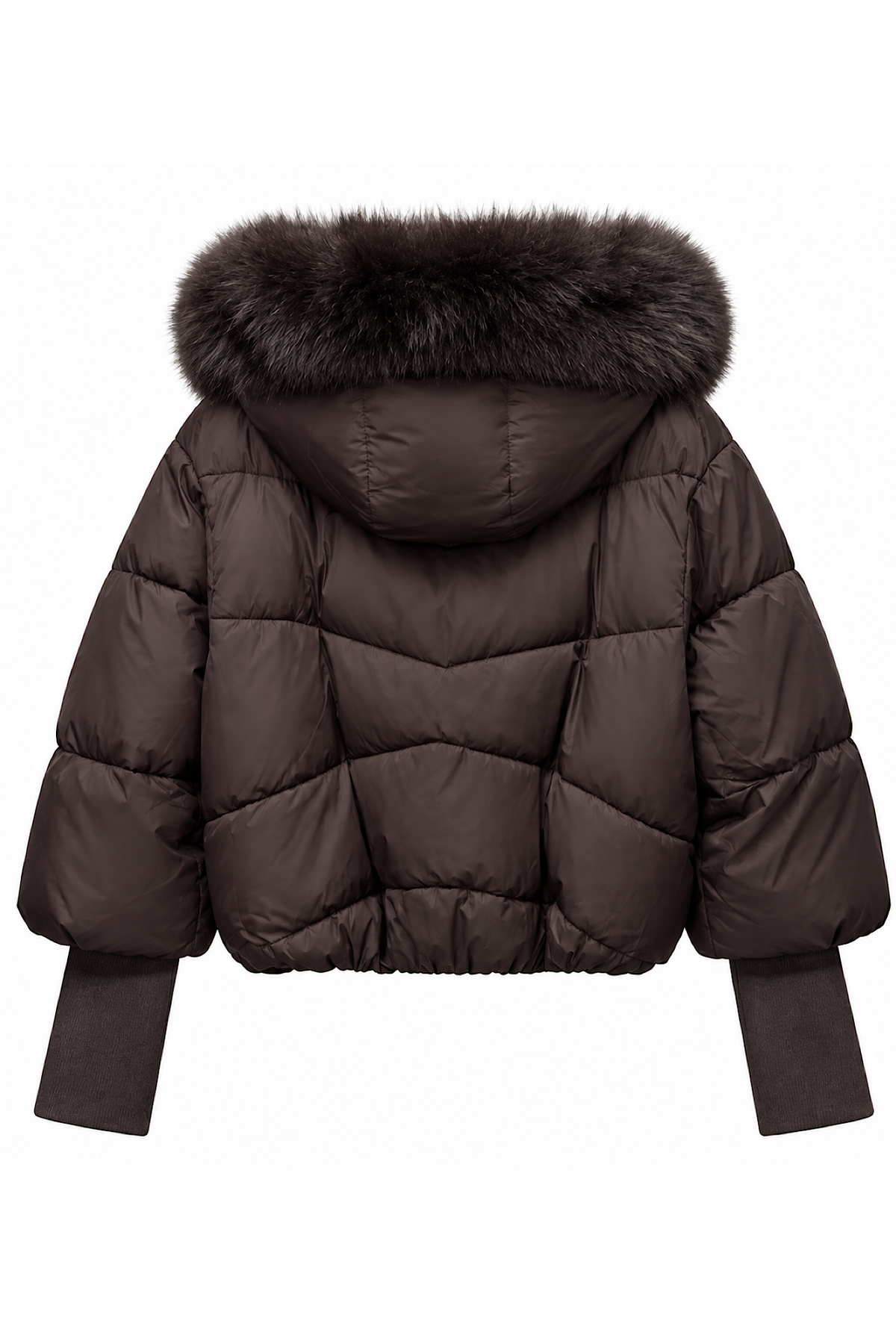 PARKA leo choko